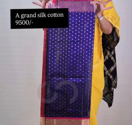 Streecteative sico saree