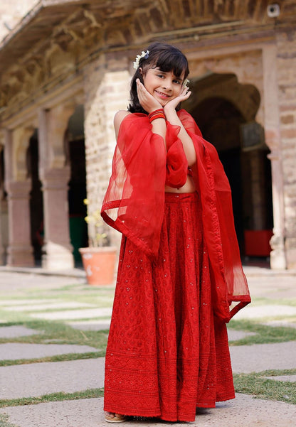RED EMBROIDERED LEHENGA SET