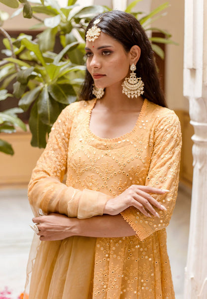 DAMINI YELLOW GEORGETTE MIRROR ANARKALI SET