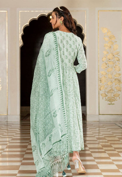 LIGHT GREEN MERAKI COTTON SUIT SET